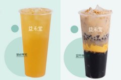 开家茉莉奶白奶茶加盟店需要什么条件？加盟电话是多少